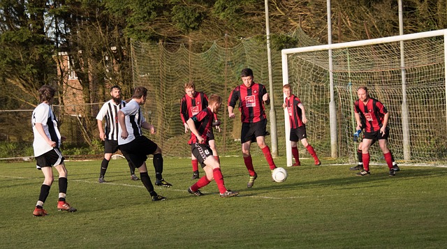 远发展提供 远发展提供