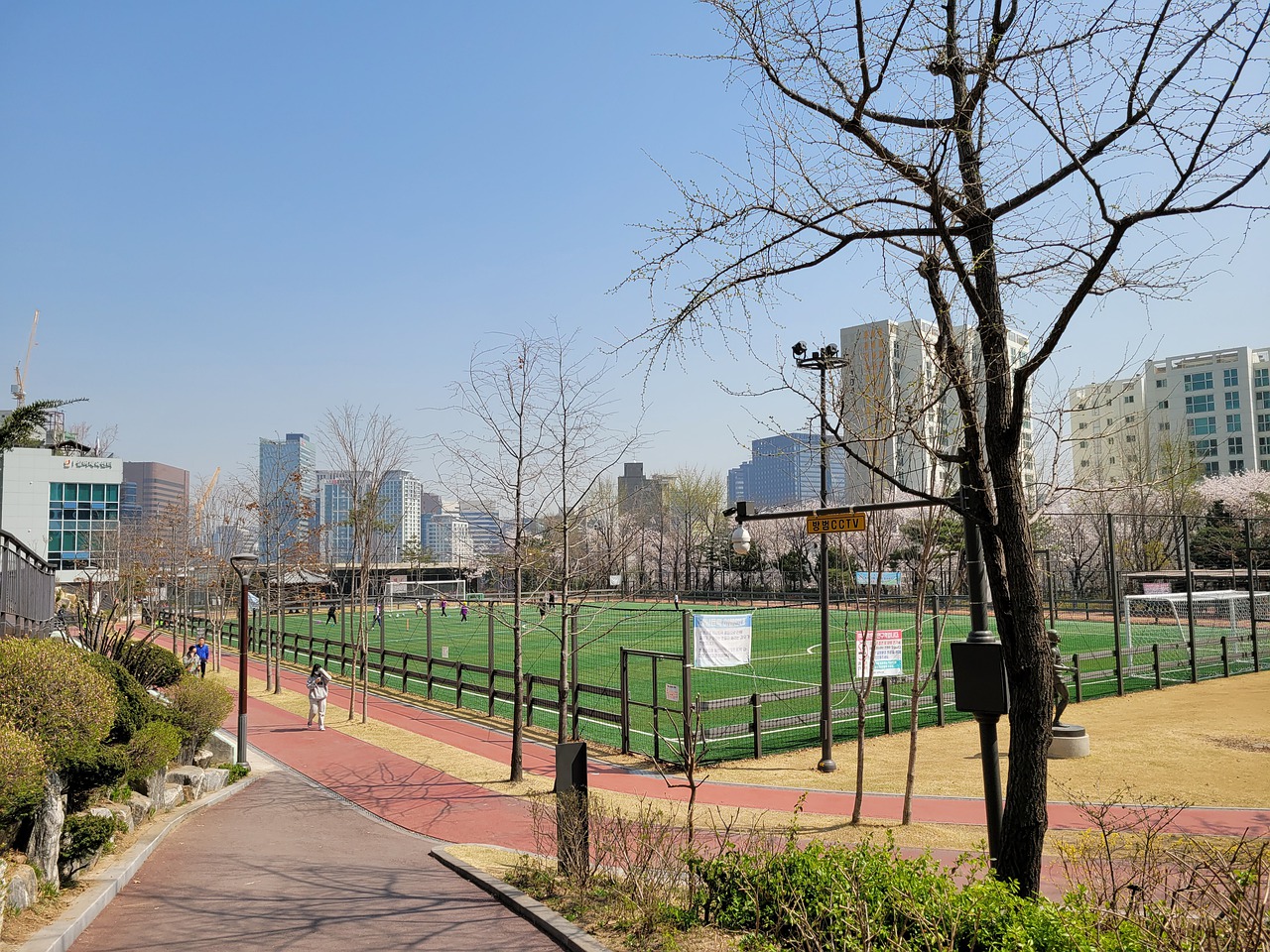 哈登的个人 哈登的个人