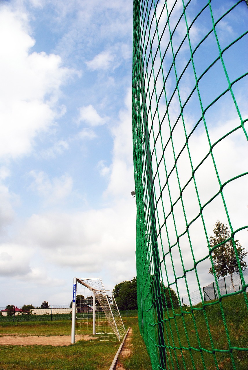 以增强竞争 以增强竞争