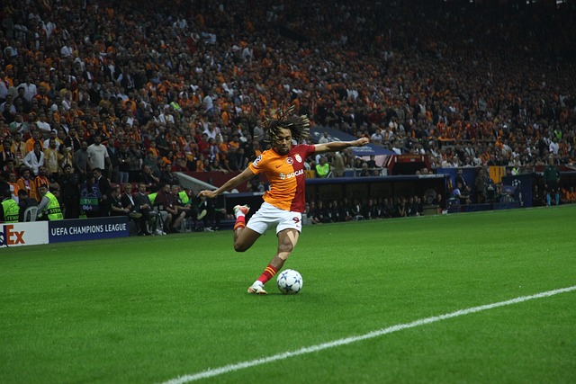 正如朱宝杰 正如朱宝杰