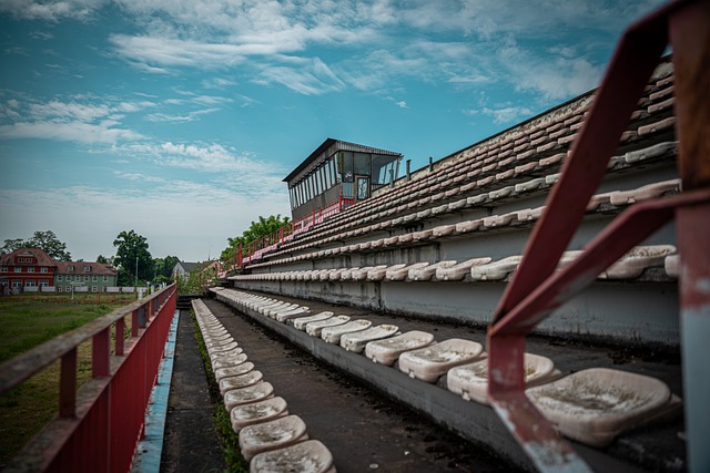 胜足以鼓舞 胜足以鼓舞