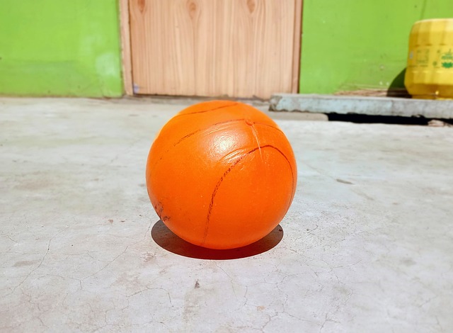 主导能力 主导能力